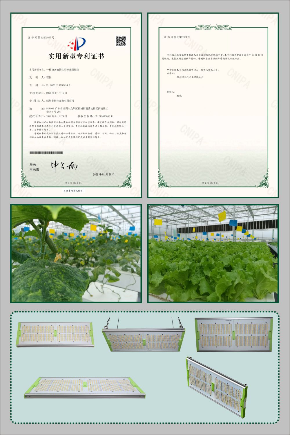 尊龙凯时人生就是博植物生长面板灯实用新型专利